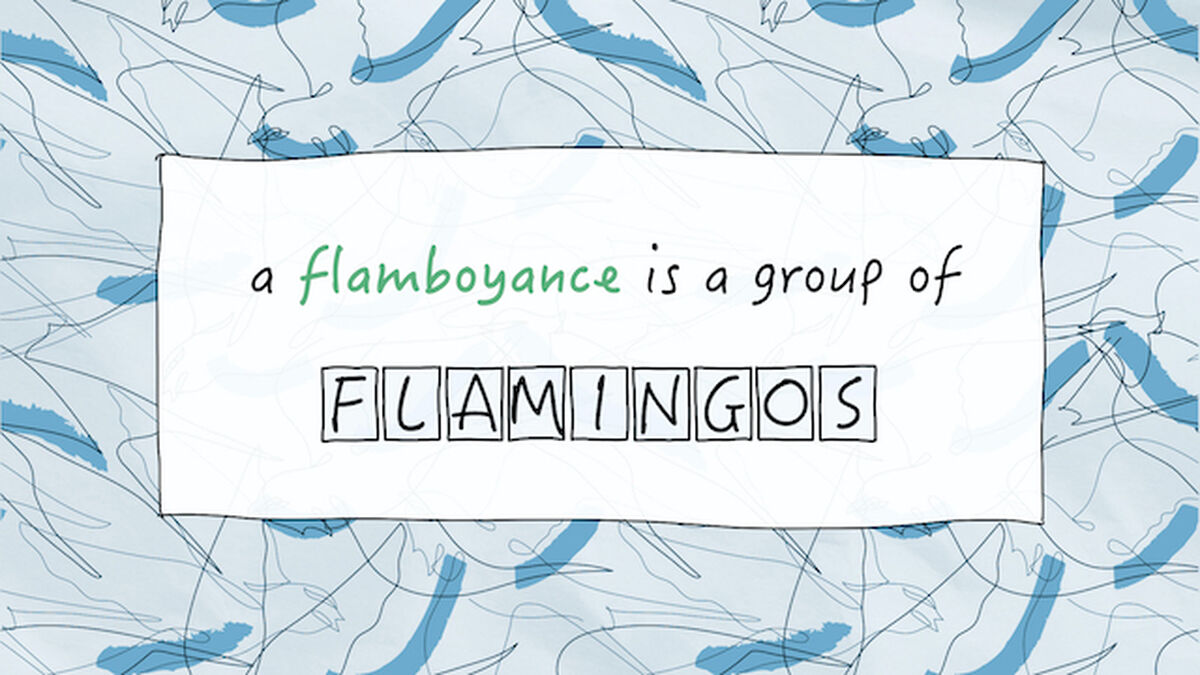 Flocked image number 4